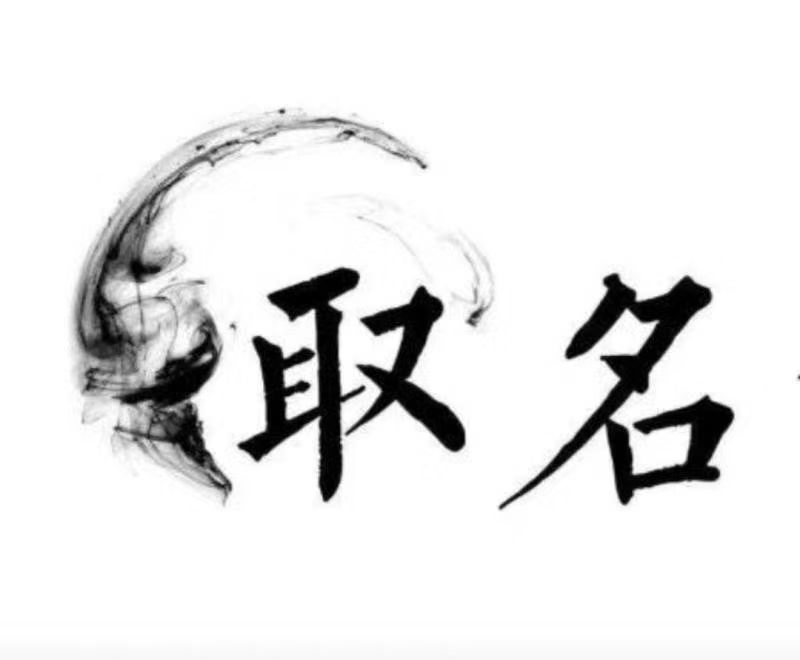  武邑宝宝取名 大师一对一人工起名